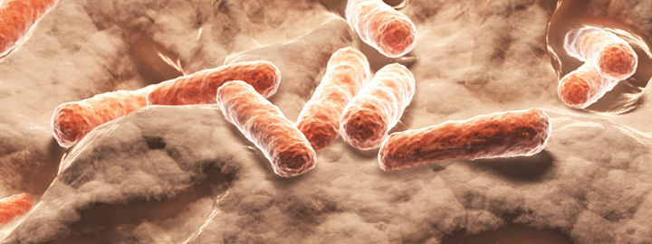 bacteria-01