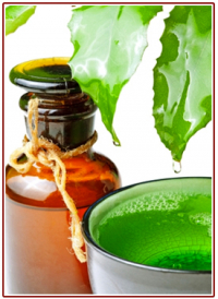 homeopathy-01