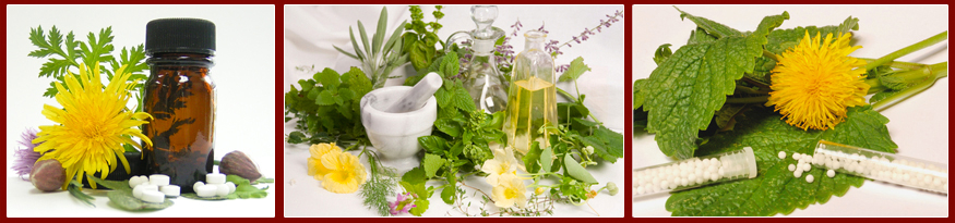 homeopathy-02